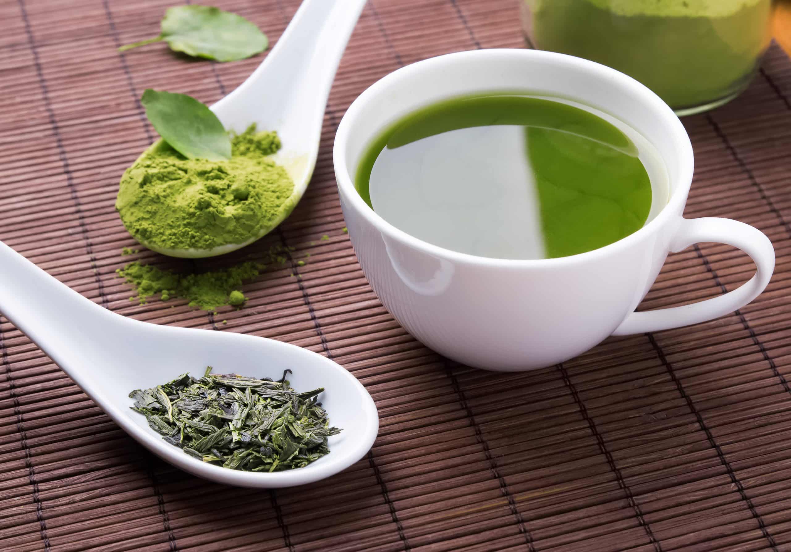 Is Matcha Or Green Tea Better For Weight Loss? Breaking Down The Differences