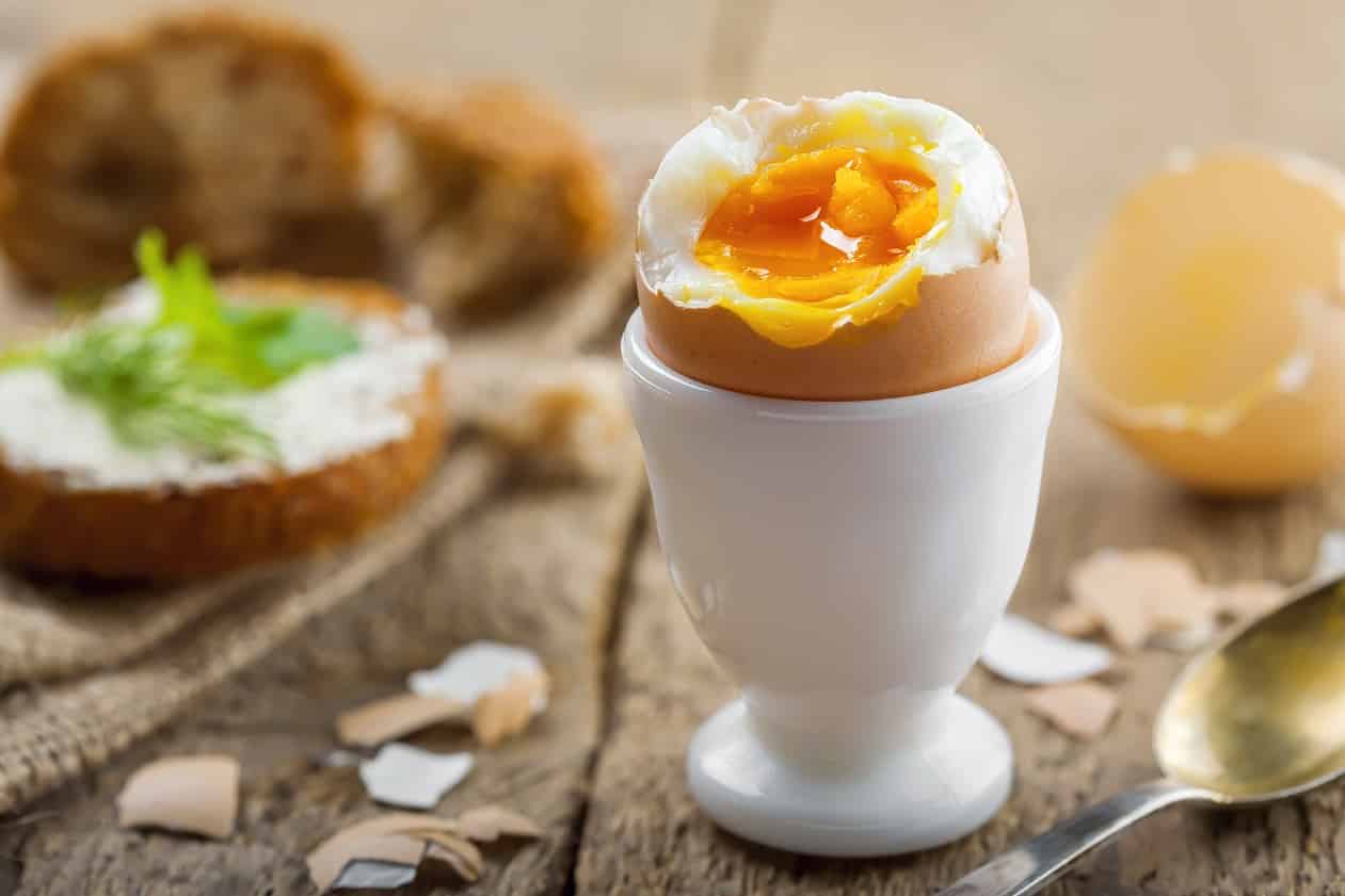 boiled egg diet