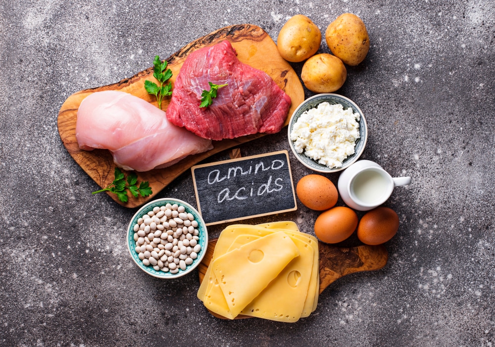 difference between glucogenic and ketogenic amino acids