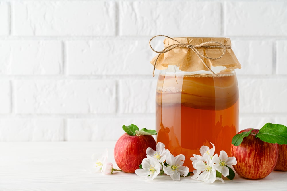 kombucha calories for weight loss
