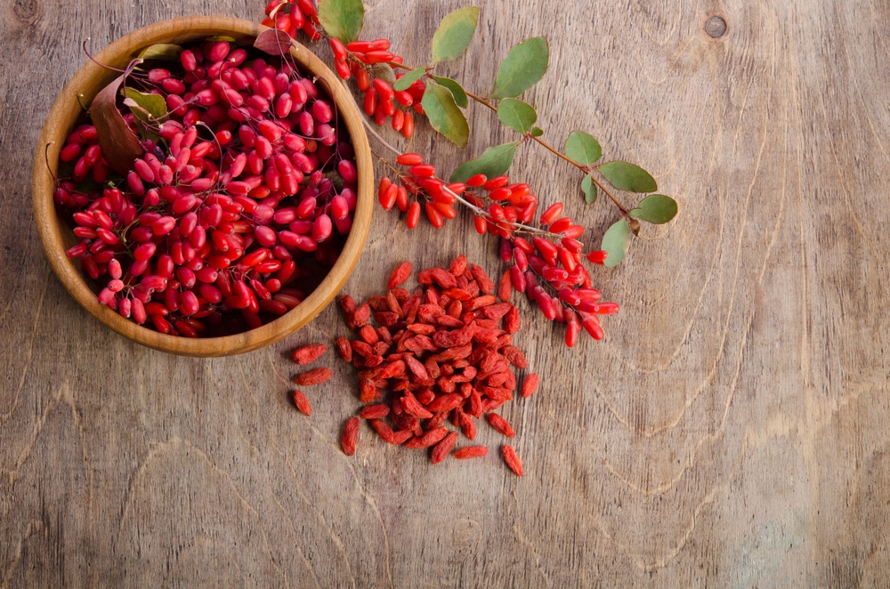 top 10 superfoods list