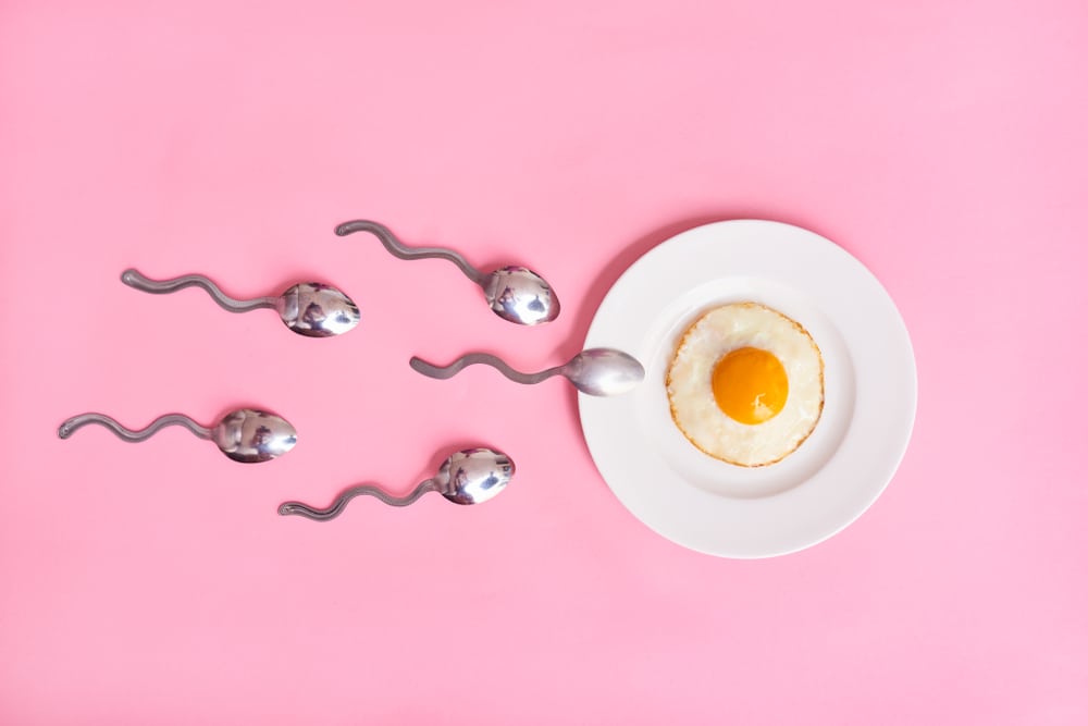 weight gain during ovulation