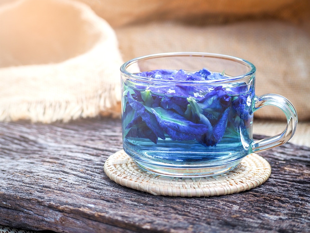 Butterfly Pea Flower Tea
