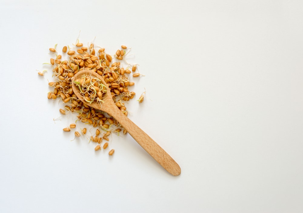 wheat germ nutrition
