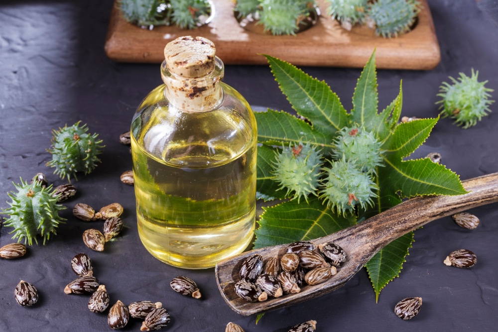 Castor Oil Weight Loss: Does It Work?
