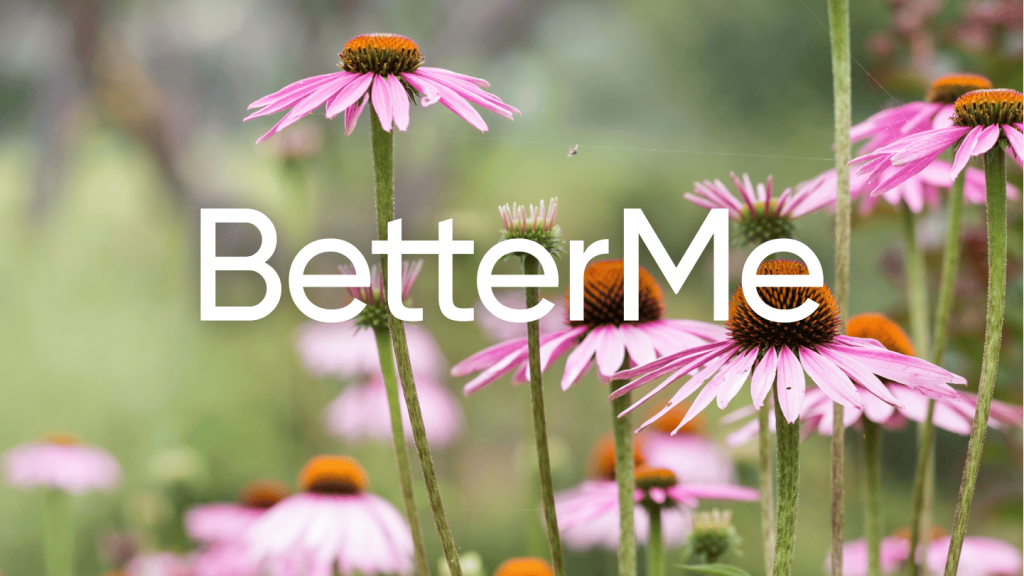 echinacea benefits