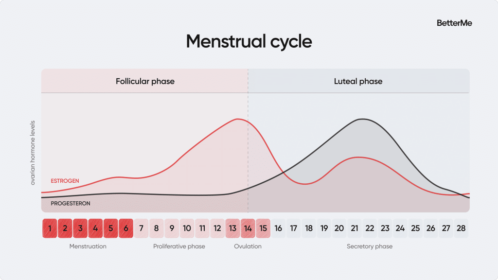 cycle syncing