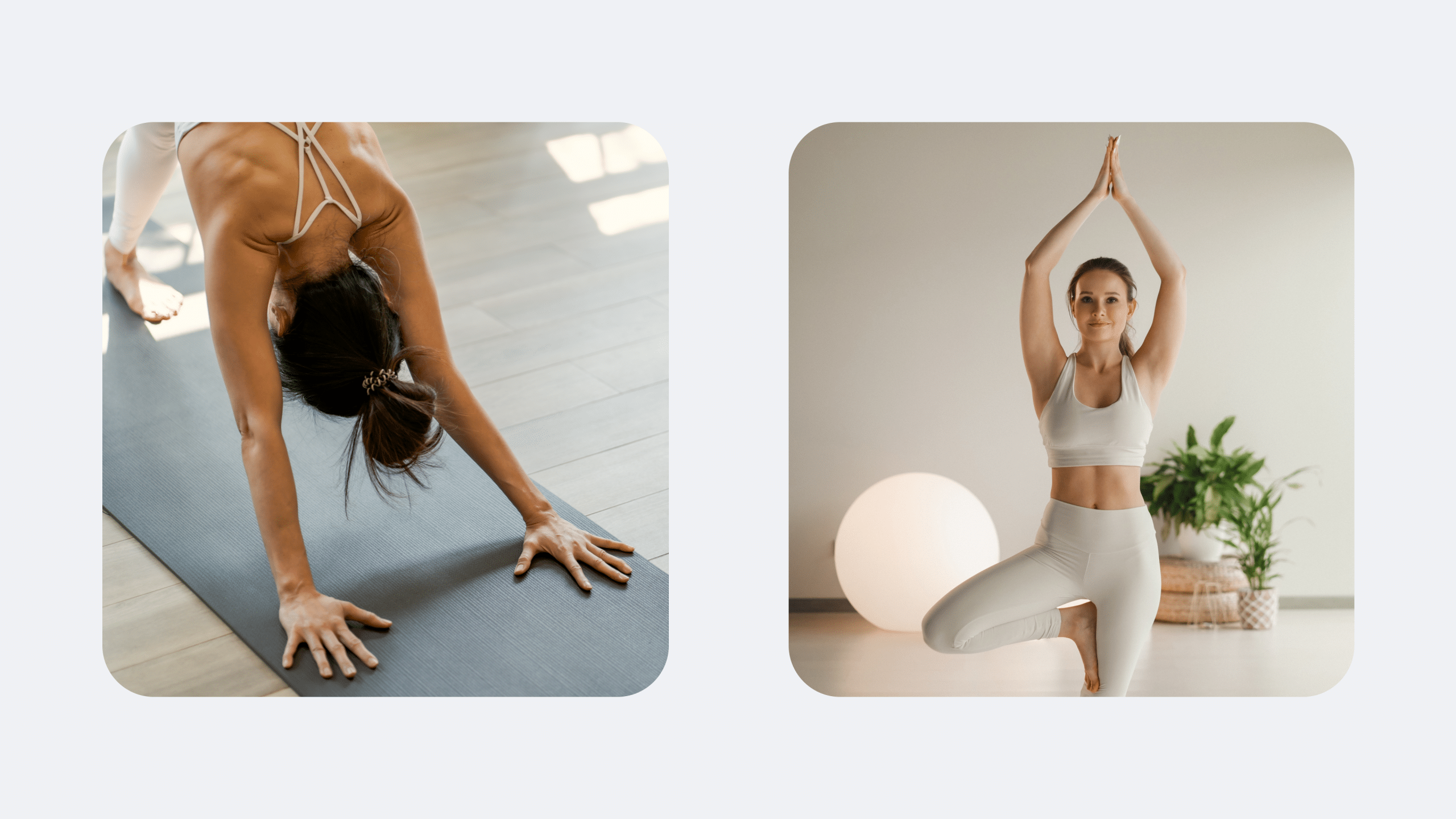 Best Somatic Exercise Program