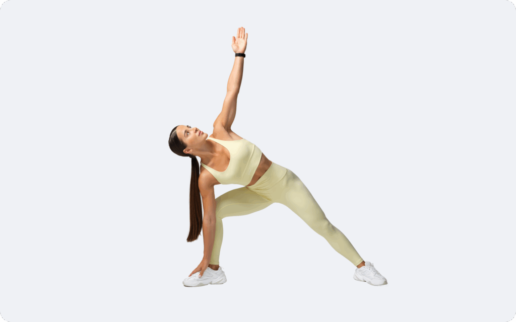 Calisthenics Workout Exercises